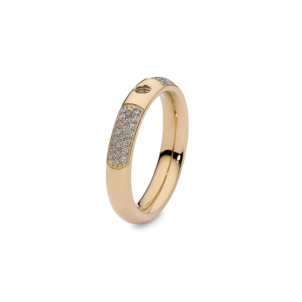 Q626664 Interchangeable s/steel G/IP Deluxe narrow ring with cz 52/L