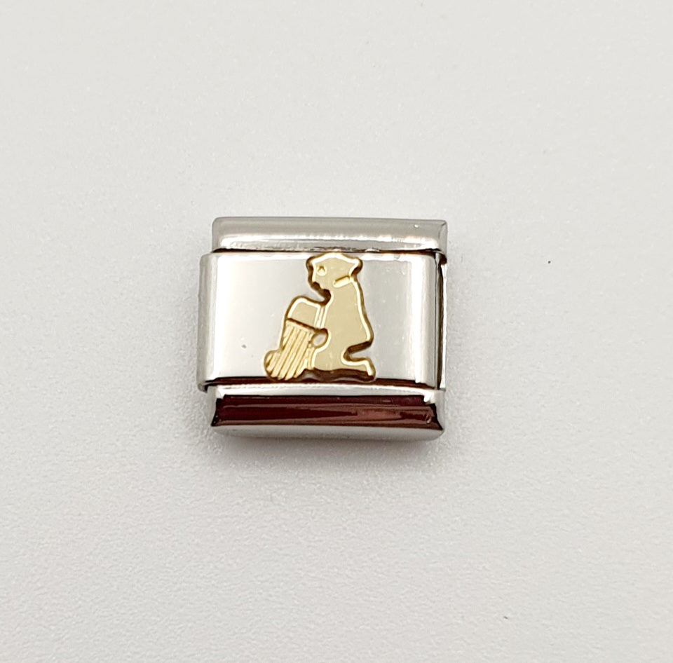Nomination Charm Link "Aquarius" Stainless Steel with 18k Gold Plate, 0300104 11
