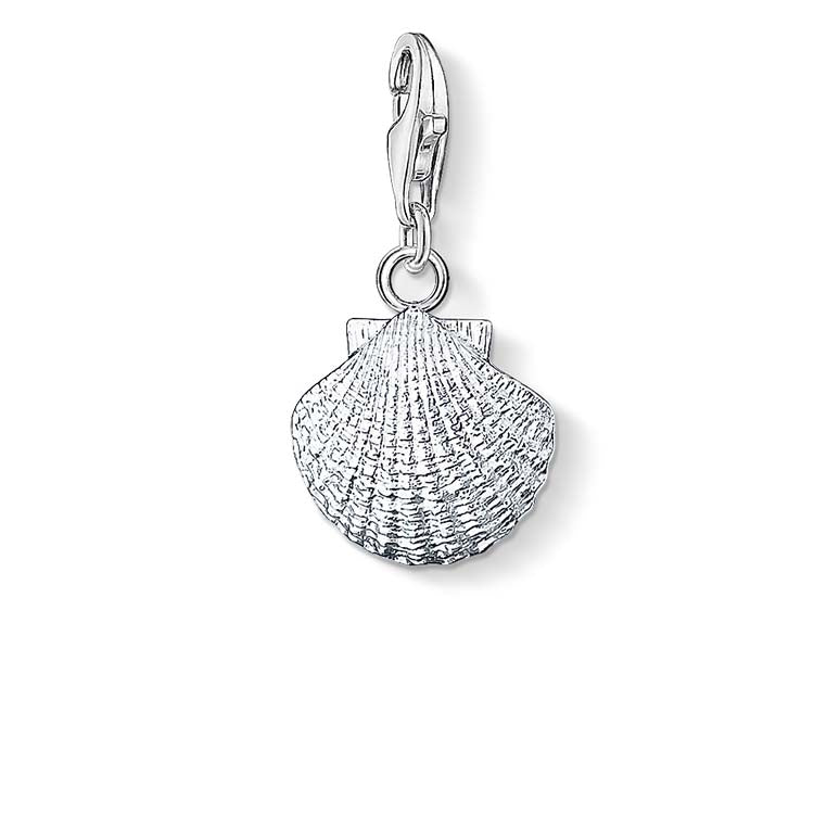C/Club Clam Shell