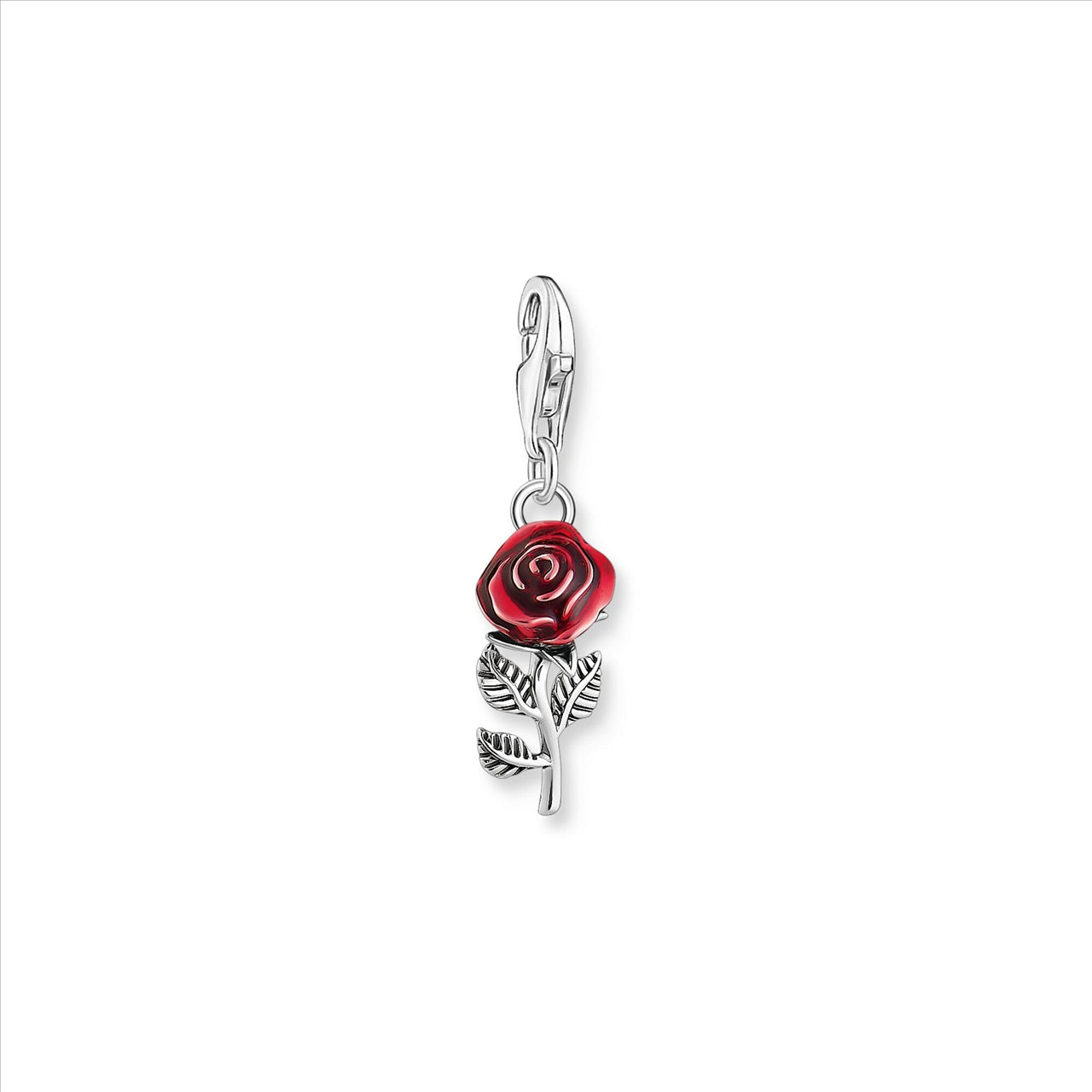 Charmista Red Rose